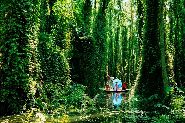 U Minh Ha National Park